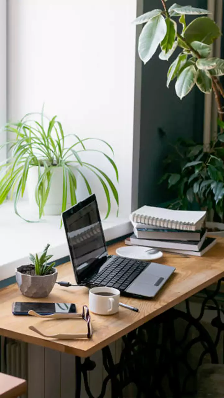 Work From Home Roles That Pay Well in 2026